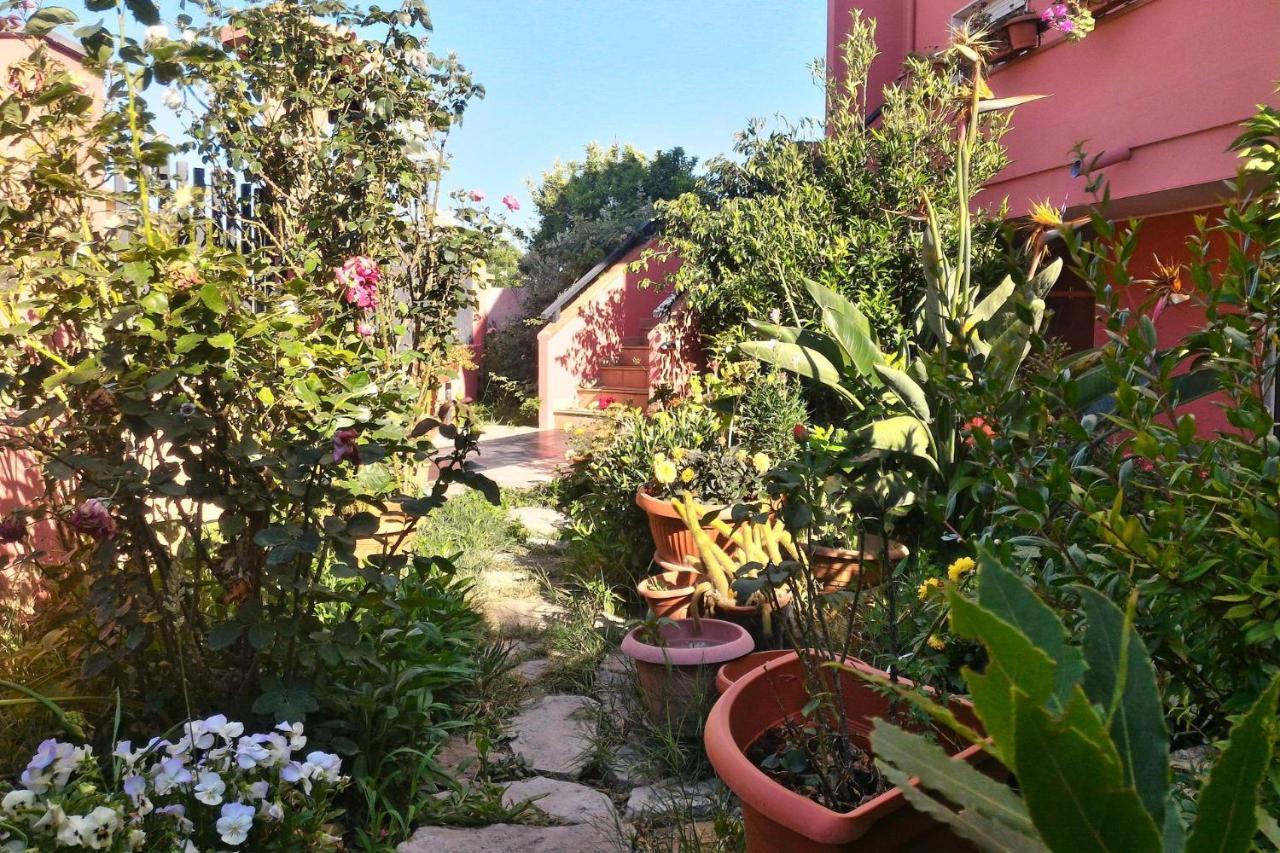 Corona Bed & Breakfast Sardara Dış mekan fotoğraf