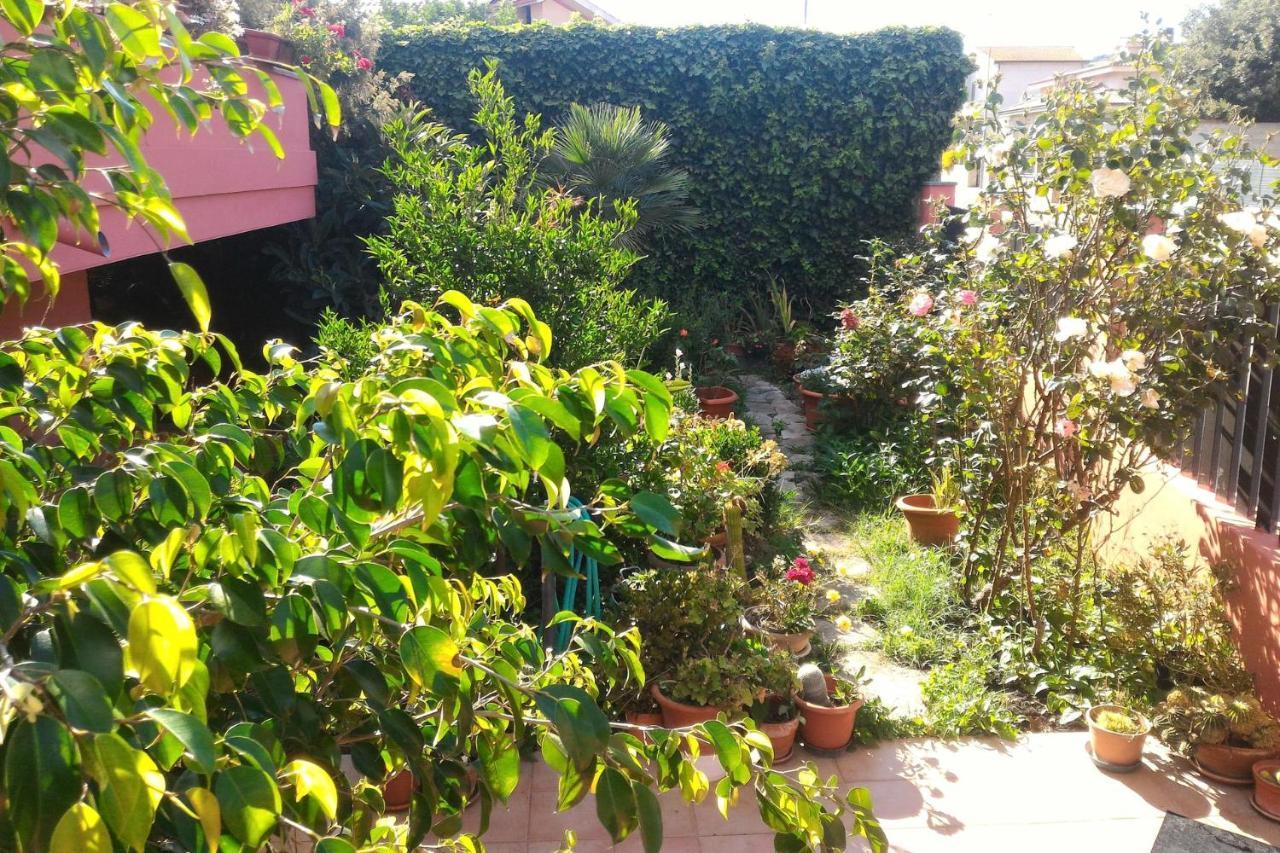 Corona Bed & Breakfast Sardara Dış mekan fotoğraf